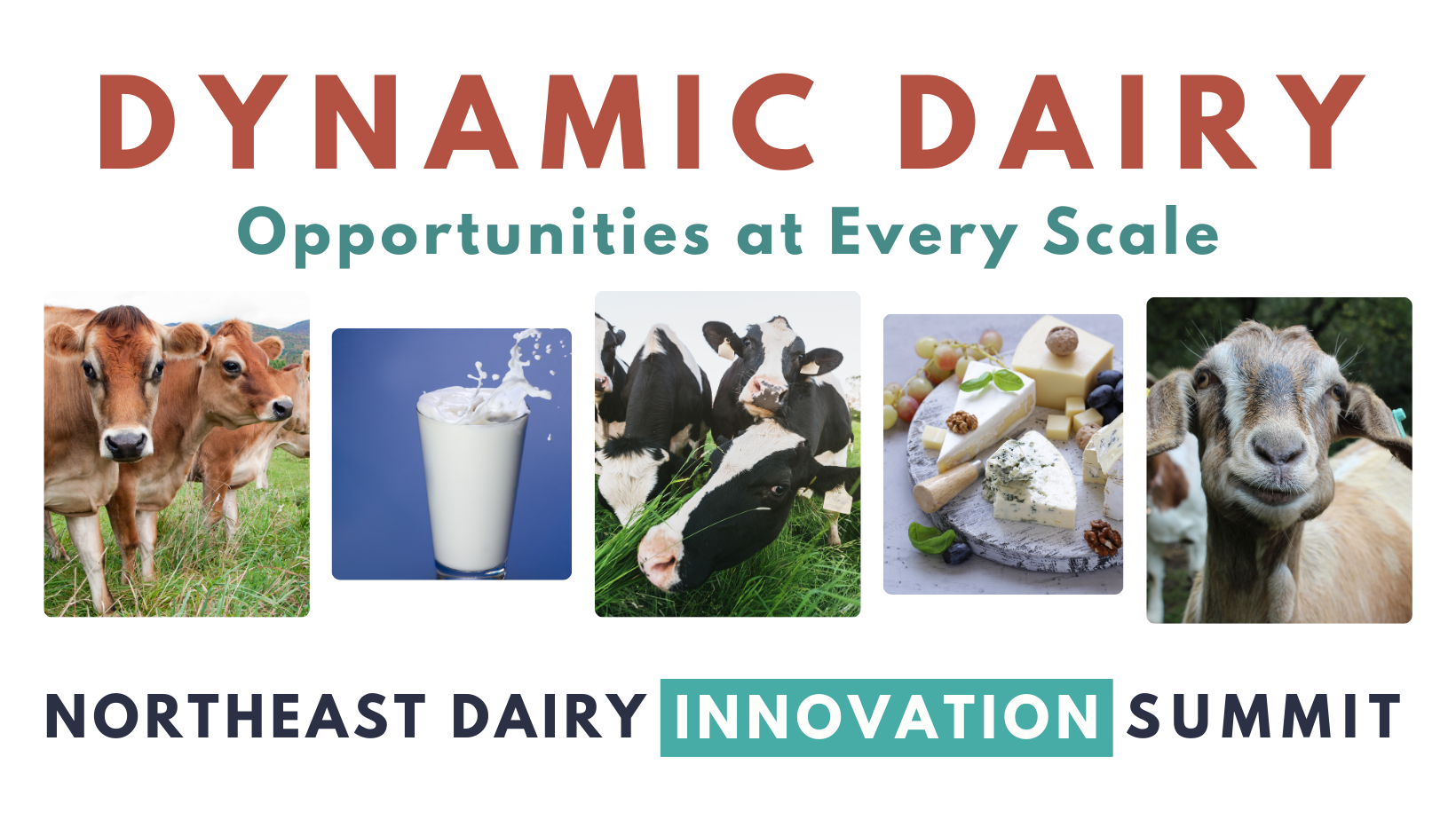 Five photos: jersey cows on pasture, a glass of milk, close-up of Holsteins on pasture, a cheeseboard, and a close-up of a brown goat. Text above and below the images reads: "Dynamic Dairy. Opportunities at Every Scale.