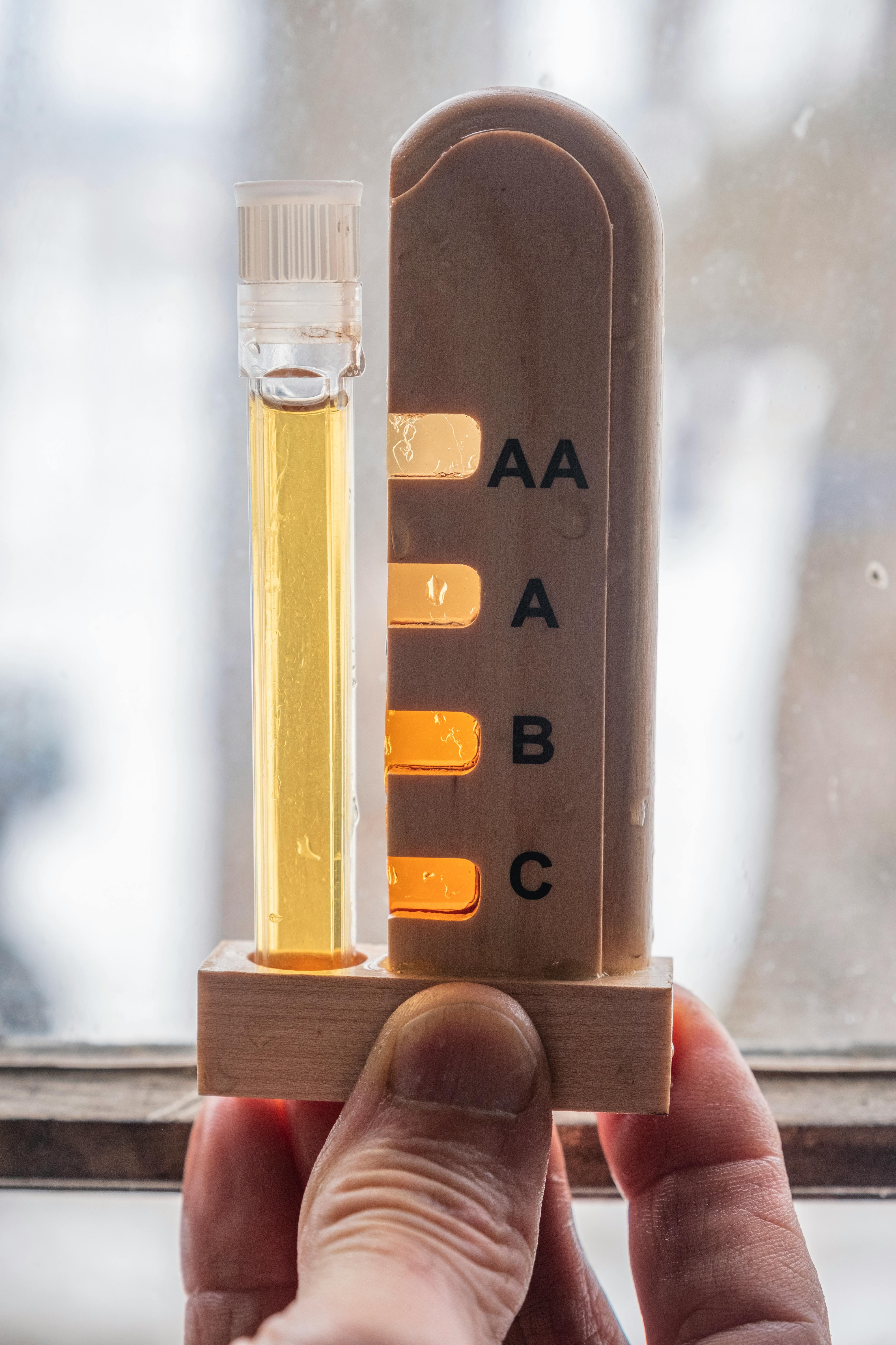 Maple Flavor and Grading Training | VT Farm to Plate