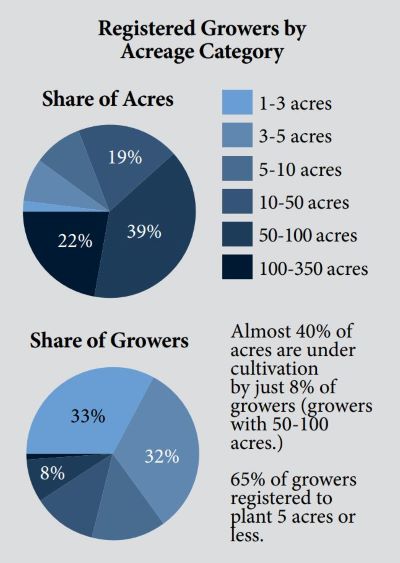 Hemp_1_Chart_Growers_Acres