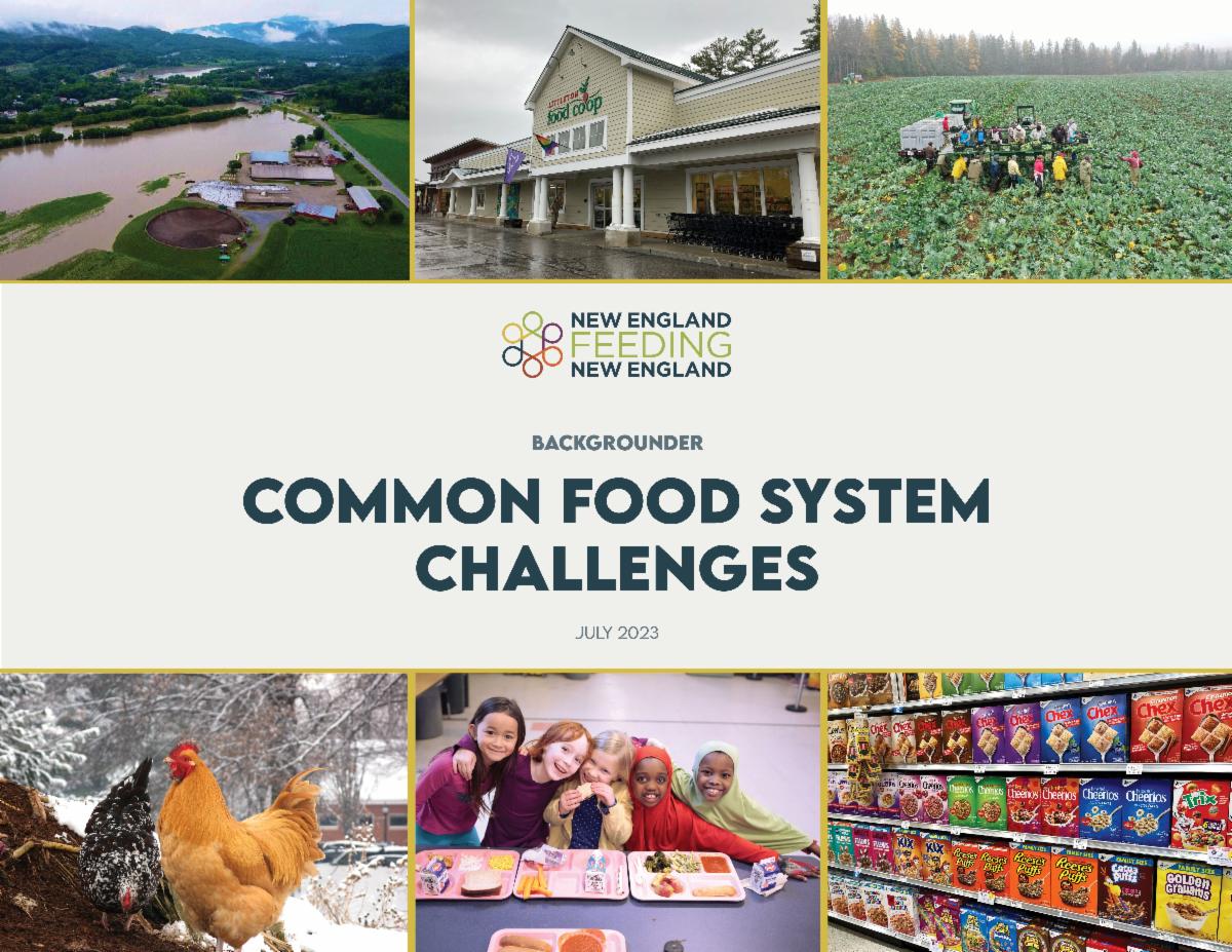 NEFNE Common Food System Challenges