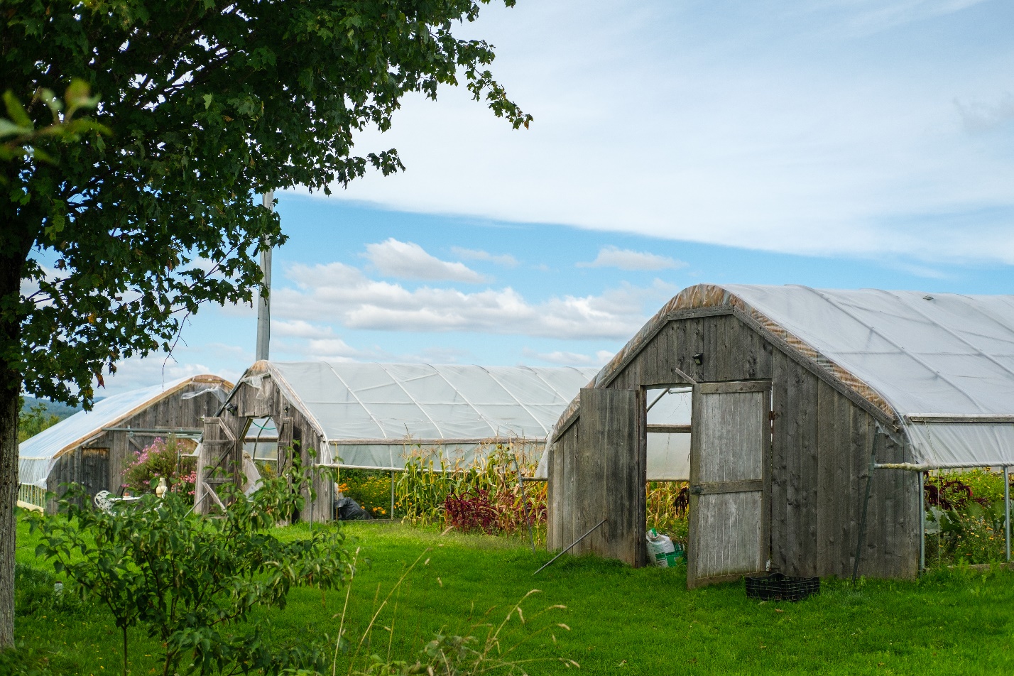 Photo by Corey Hendrickson of Sandiwood Farm