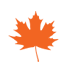 orange maple leaf icon