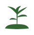 green seedling icon