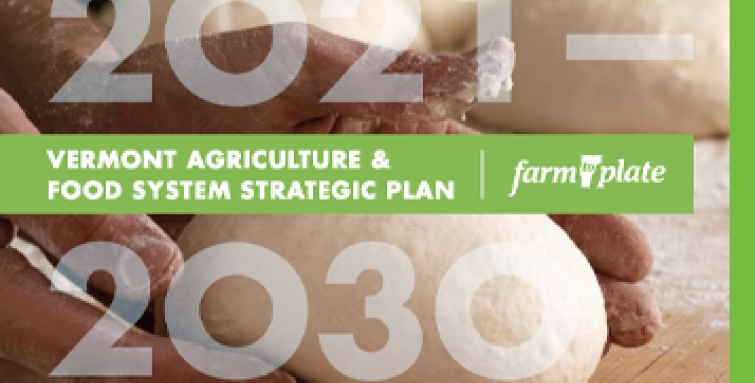 2021-2030 strategic plan