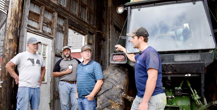 dairy beef farm photo