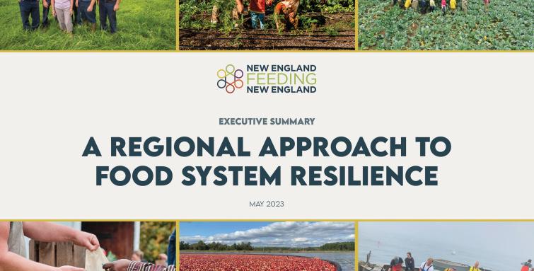 A Regional Approach to Food System Resilience - NEFNE Report