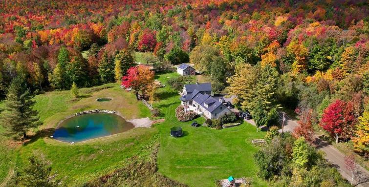 Moonlight Mountain Farm
