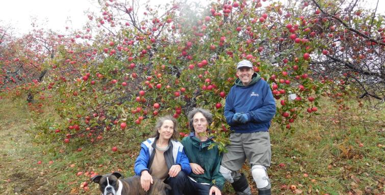 Flag Hill Farm_Agforestry