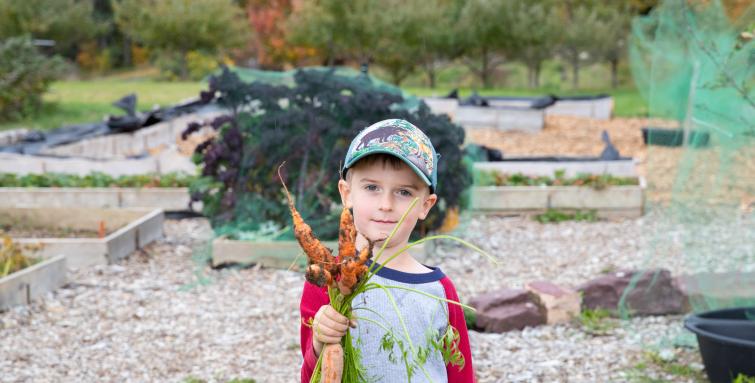 Sarah_Webb_Shelburne_Farms_Kid_Carrots