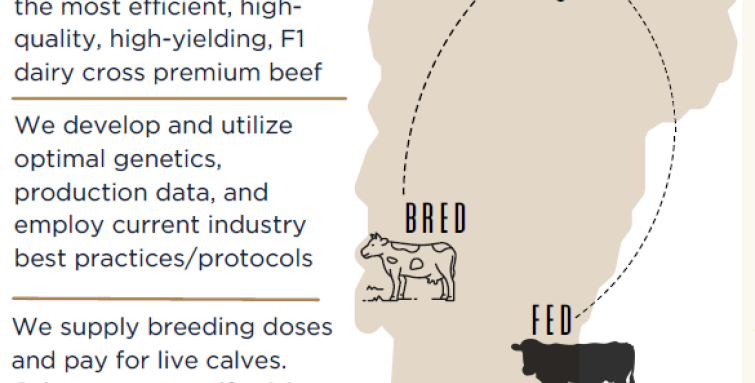 VT Cattleman how we work