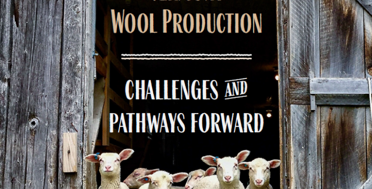 2026 Vermont Wool Production Challenges and Pathways Report