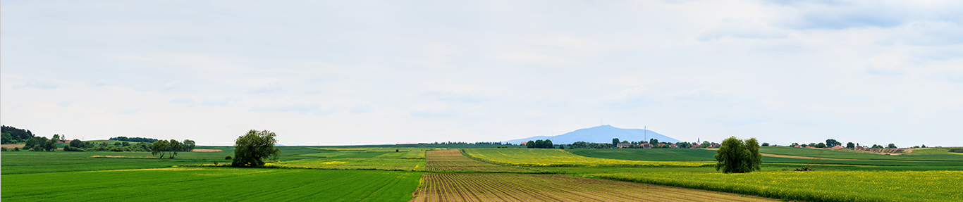 farmland