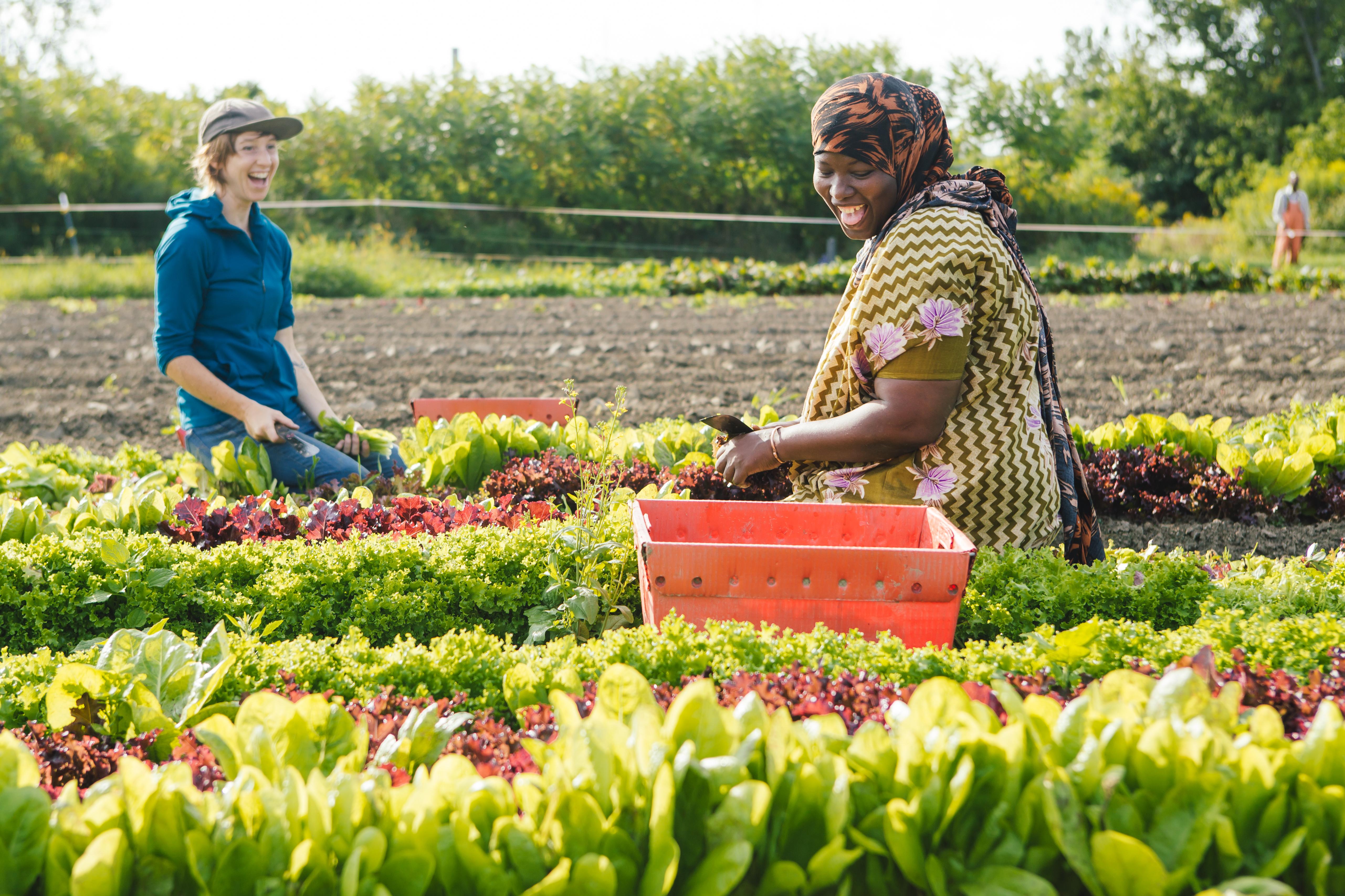 River berry farm crew