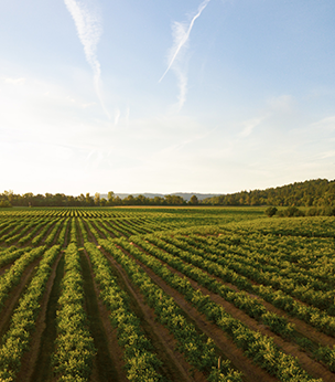 farmland