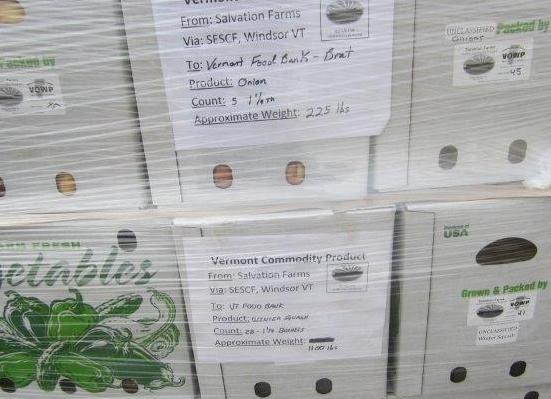 100213_salvation_frams_vegtables_029