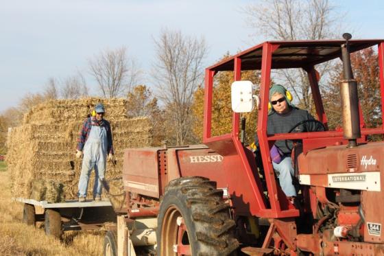 baling_switchgrass
