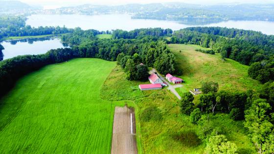 bluffside_farm_in_newport