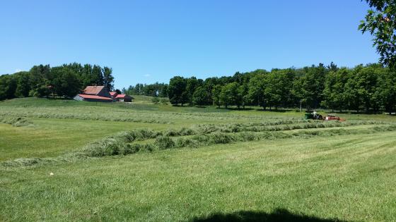 bluffside_farmstead_and_hayfield