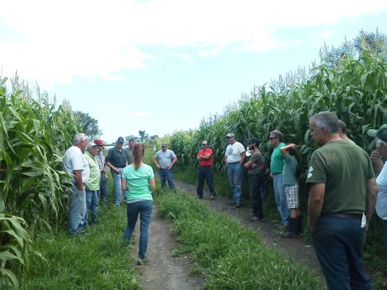 champlain_valley_farmer_coalition_farmer_demonstration