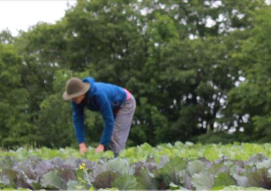farmer