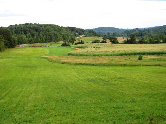 fields