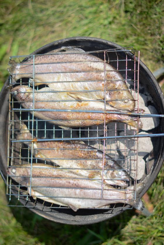 grilling_rainbow_trout