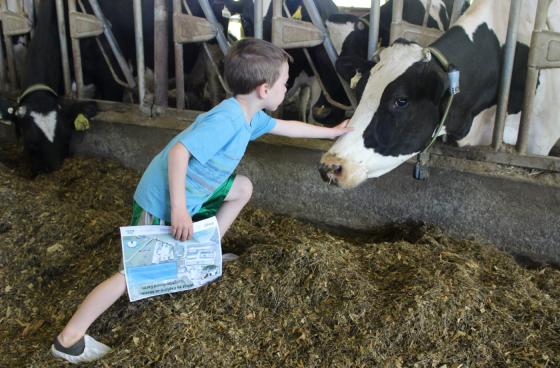 kid-petting-cow-1400x920