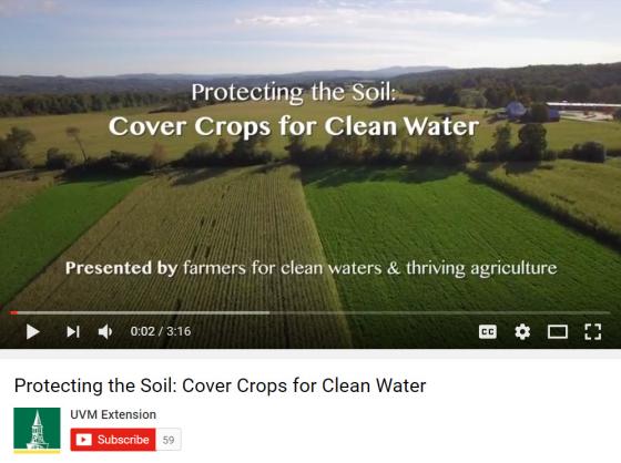 protecting_the_soil_cover_crops_for_clean_water