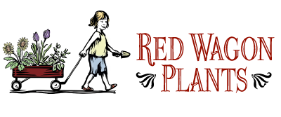 rwp-logo-horizontal