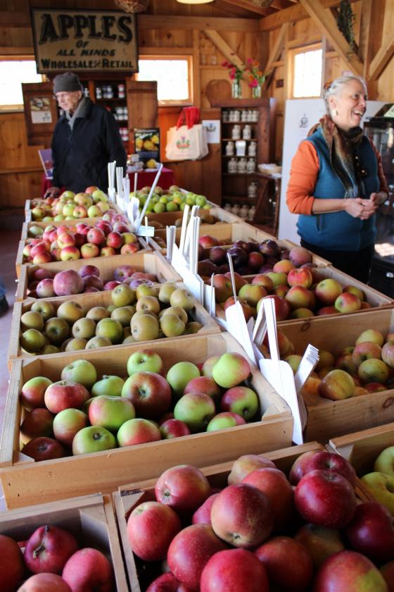 scott_farm_heirlooms_apples_in_farm_market