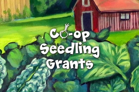 seedlinglogo