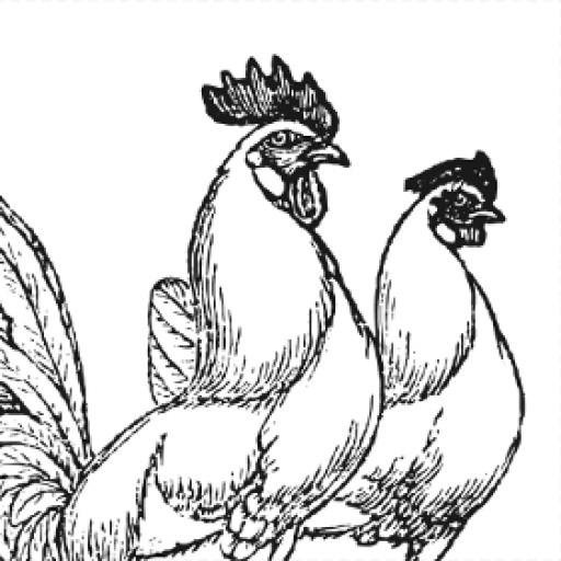 studio_hill_farm