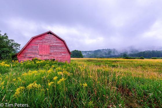 timredbarn