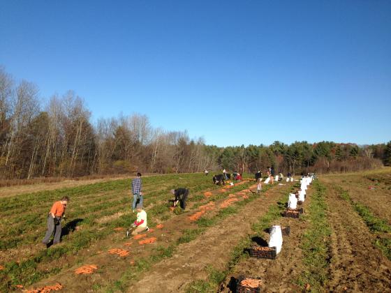 uvm_eco_assessment_cropvolumeexample