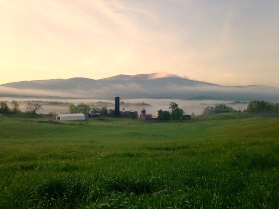 walnut_hill_farm