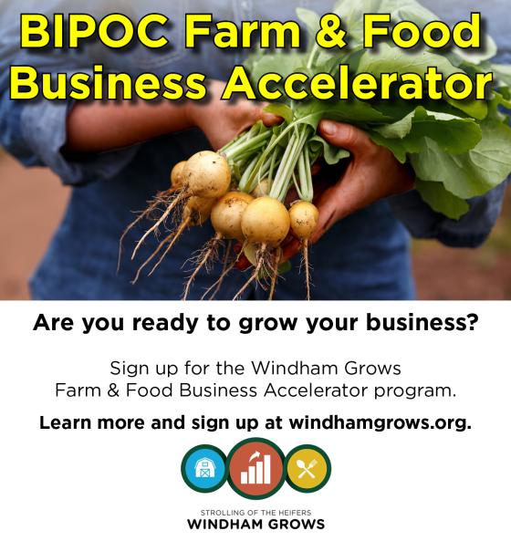 wg_bipoc_cohort_2020_flier