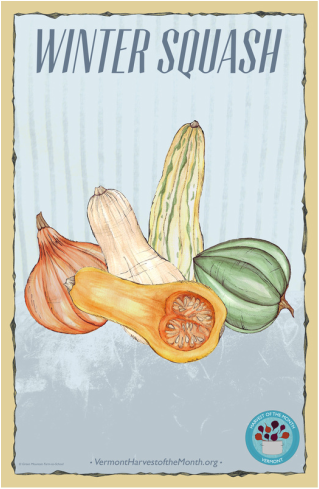 winter_squash_hom