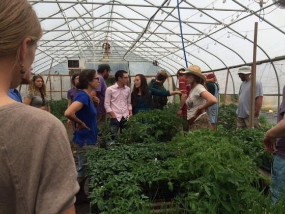 addison_craft_greenhouse_session_-_credit_nofavt