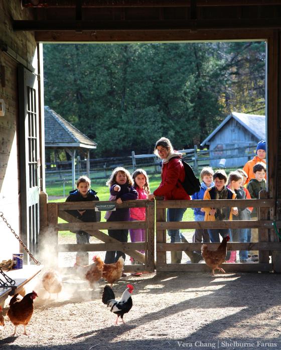 agritourism_marketing_resource_cover-1