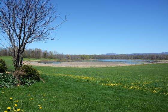 des_marais_farm_brandon_wetlands_-_courtesy_nrcs