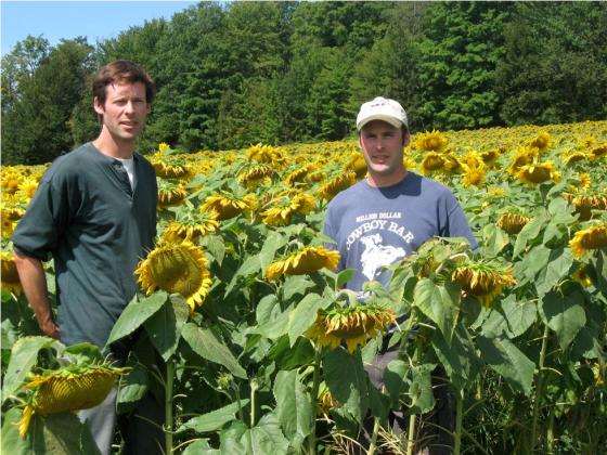 nick_and_taylor_in_sunflowers_small