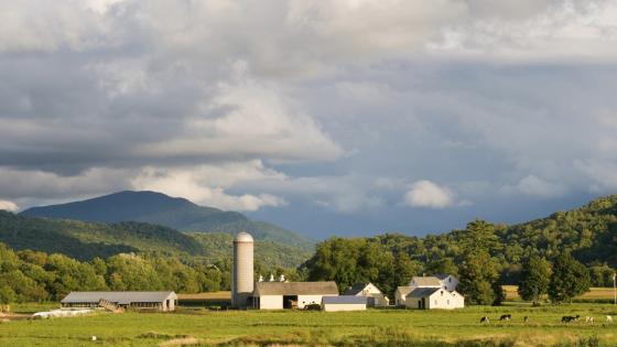 vermontfarm_cropped