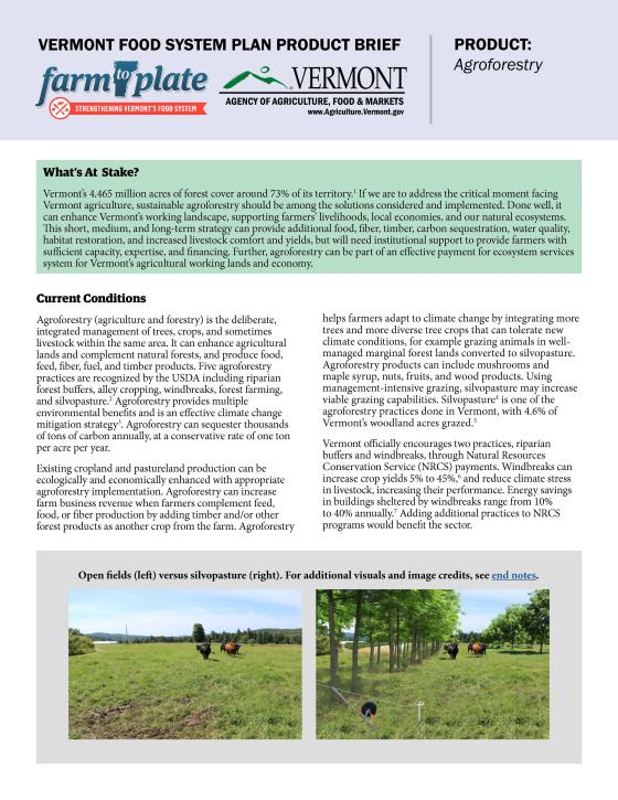 Agroforestry brief cover