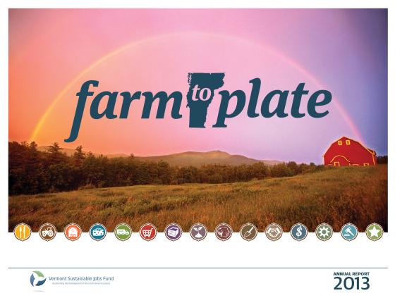 2013 annual report cover