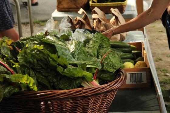 Food connects equitable food buying club