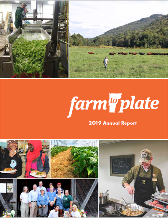 2019 annual report cover image