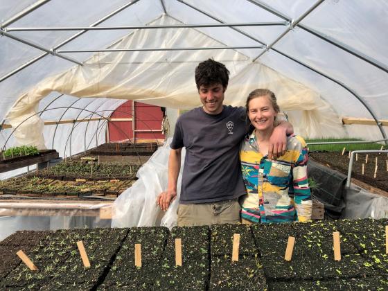 Farmers - man and woman -- standing in greenhouse with seedlings growing