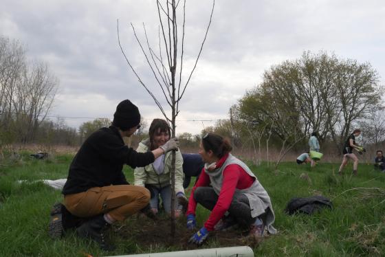 Intervale Agroforestry3 - Michael Z. Weiss