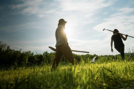 Two people walk in a field carrying hoes