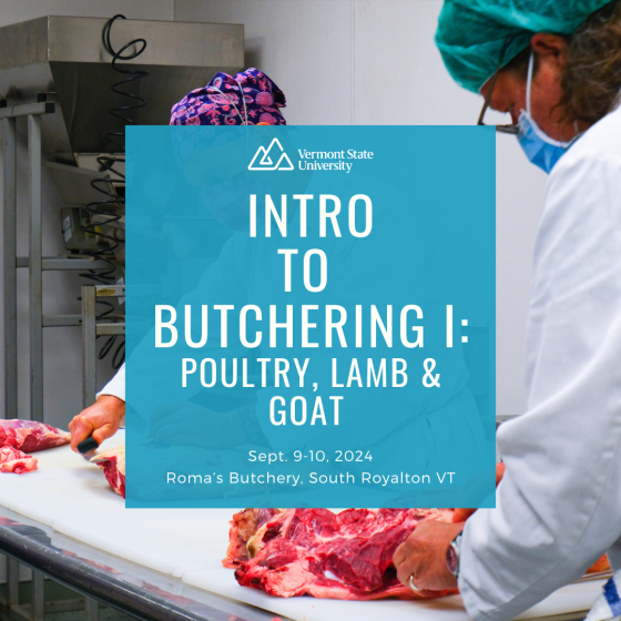 image of butchery training with text over it listing "Intro to Butchery I: Poultry, Lamb and Goat", September 9th-10th, 2024, at Roma's Butchery in South Royalton, VT.